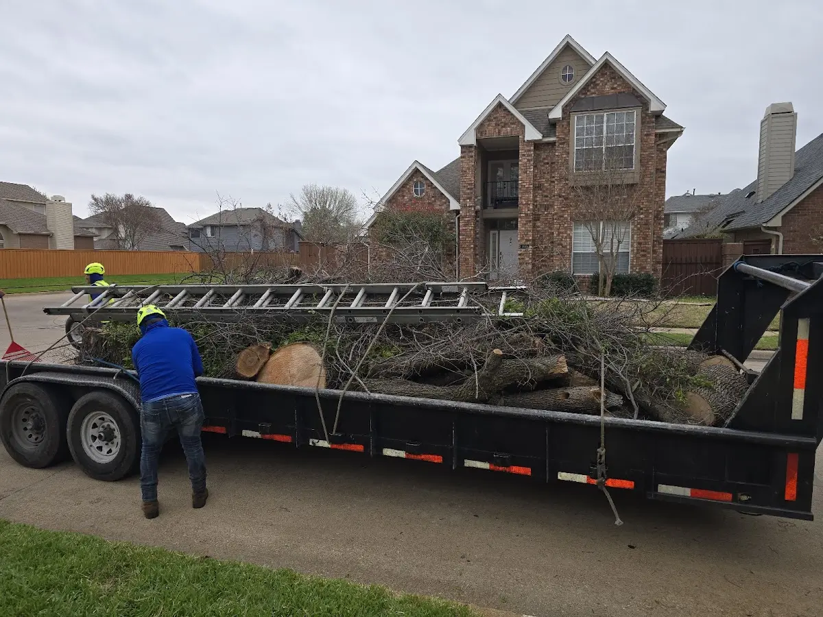 Expert Tree Fertilization with proper safety equipment in Dutch Flat